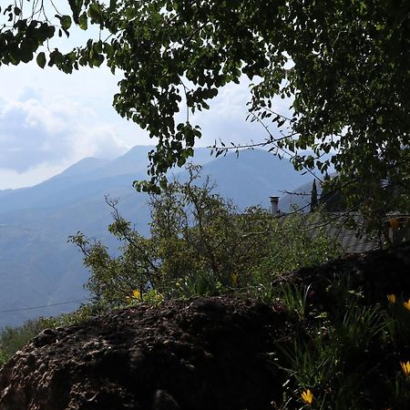 Μικρή Ζήρεια Ενοικιαζόμενη Κατοικία Synikia Mesi Trikalon ภายนอก รูปภาพ
