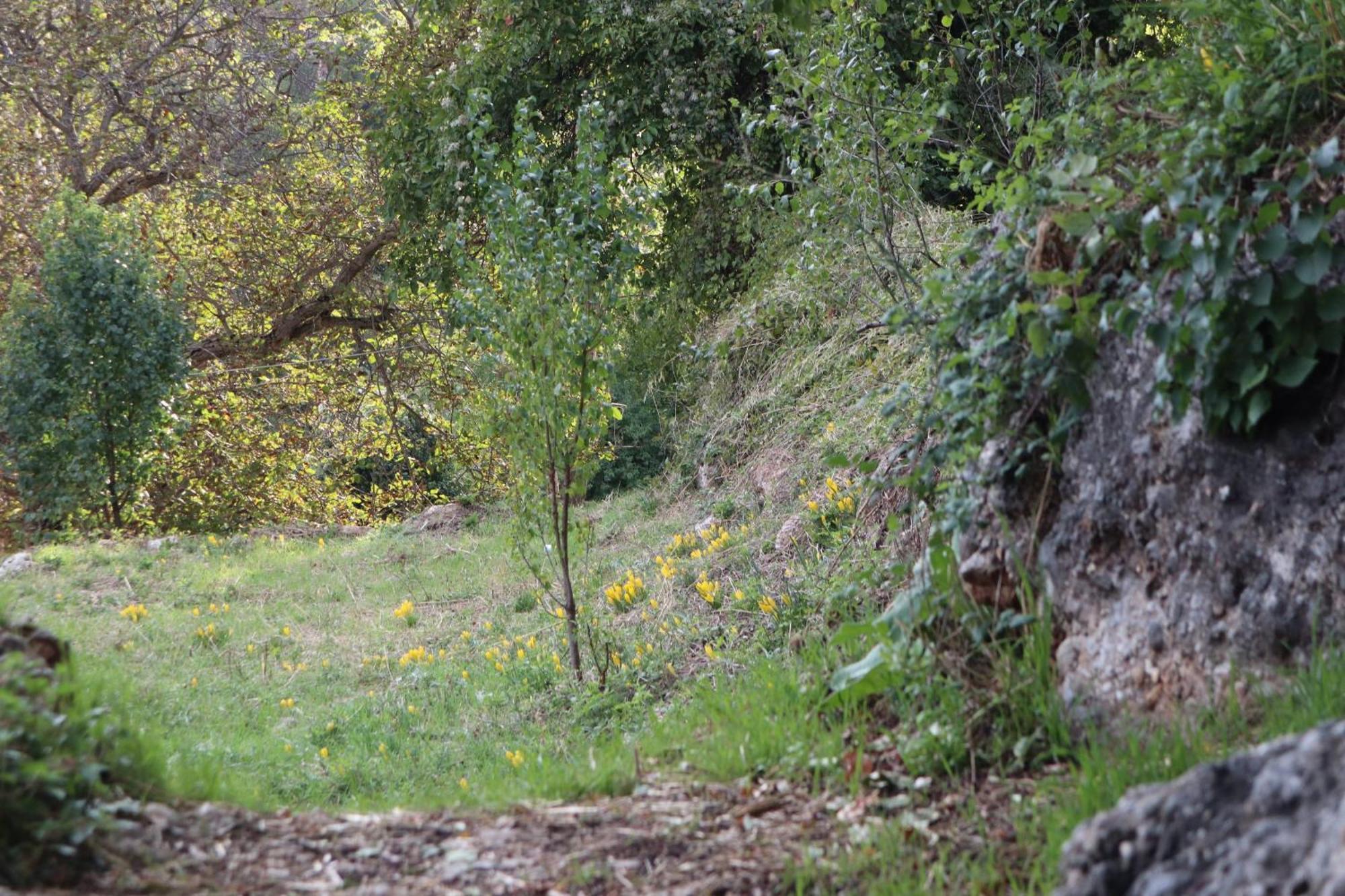 Μικρή Ζήρεια Ενοικιαζόμενη Κατοικία Synikia Mesi Trikalon ภายนอก รูปภาพ
