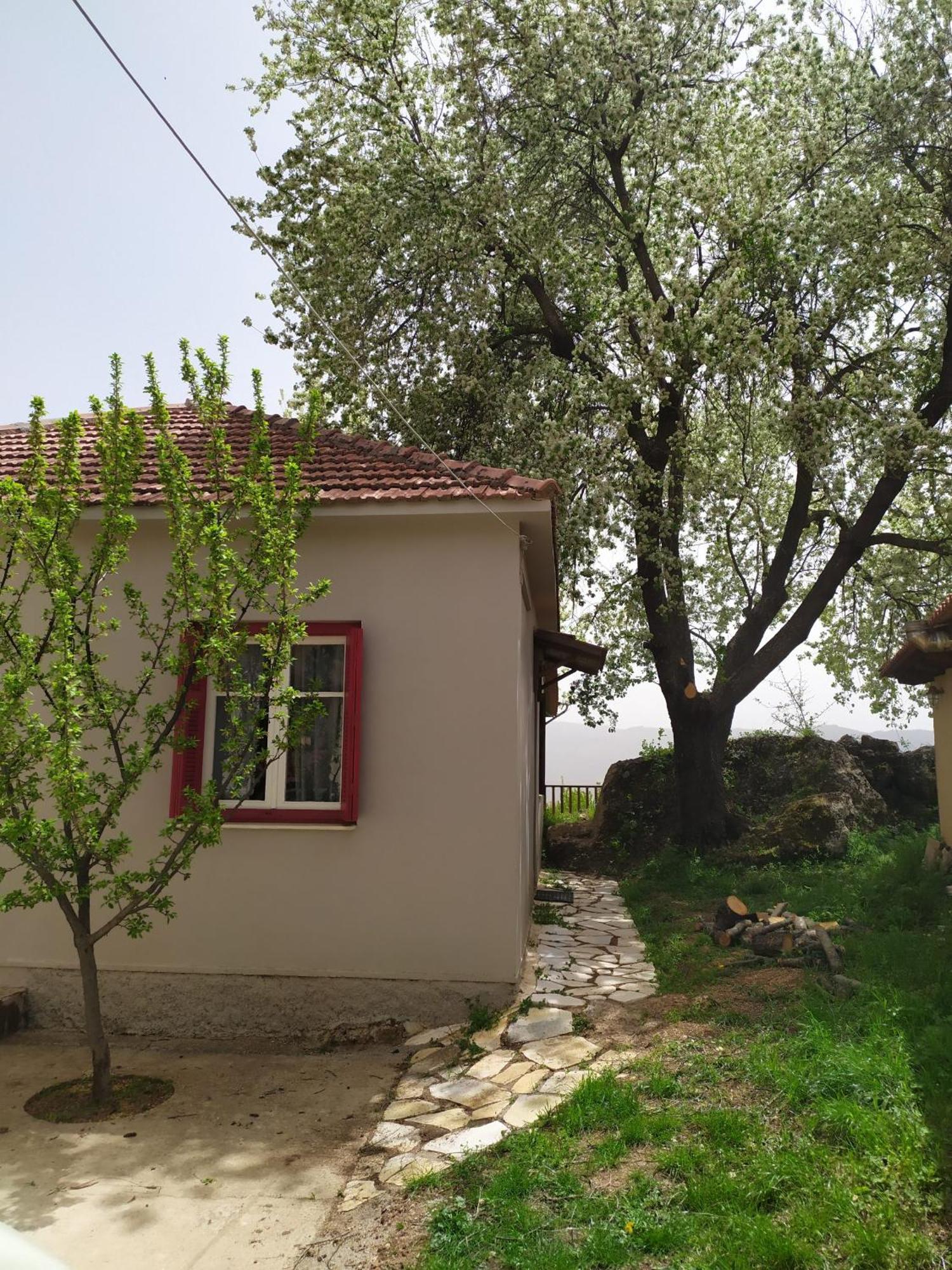 Μικρή Ζήρεια Ενοικιαζόμενη Κατοικία Synikia Mesi Trikalon ภายนอก รูปภาพ